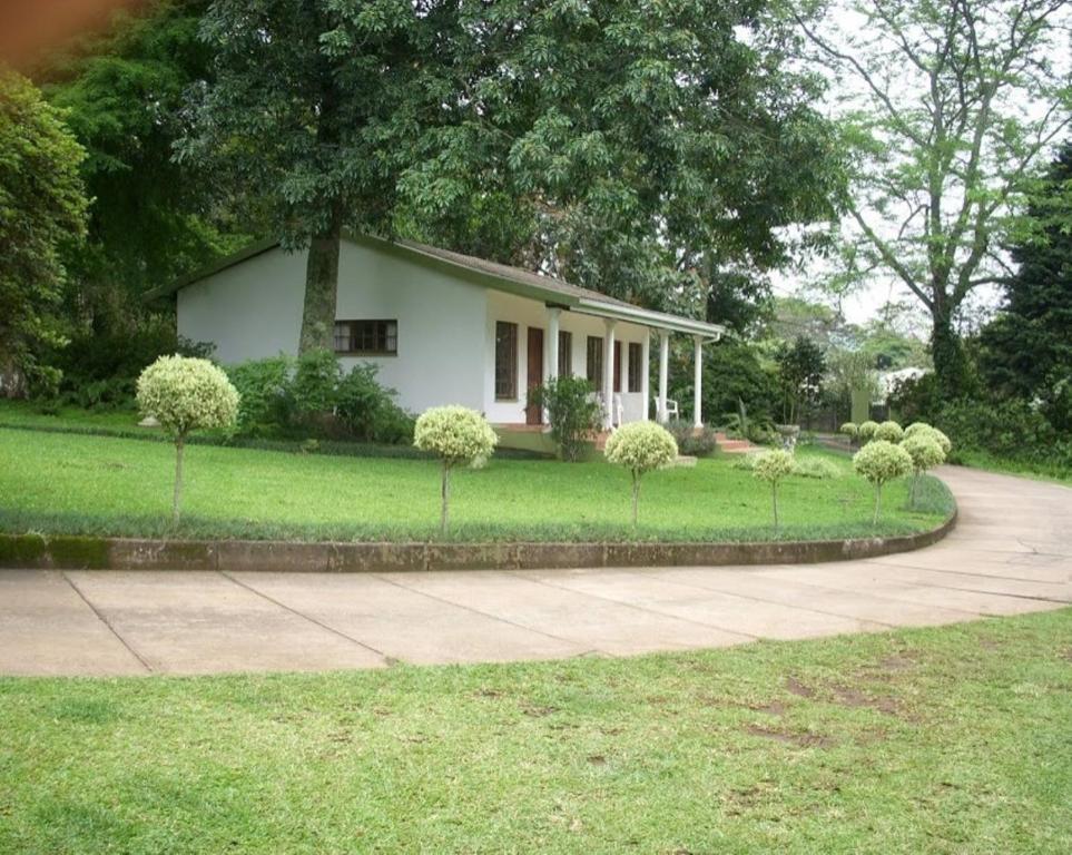 White House Bed And Breakfast Guest House Hillcrest Rom bilde